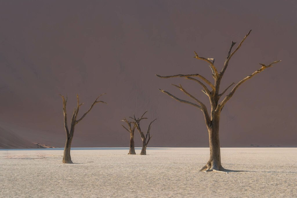 Deadvlei, a stark expanse of dried white clay, is dotted with the skeletal remains of ancient camelthorn trees - Namibia Photography Tours & Workshops with Landscape Locations.
