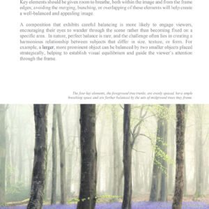 Landscape Locations Composition free ebook - Balance