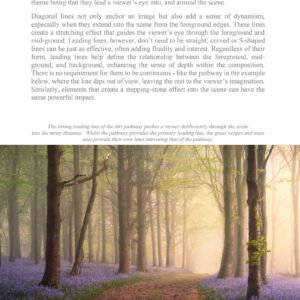 Landscape Locations Composition free ebook - Leading Lines