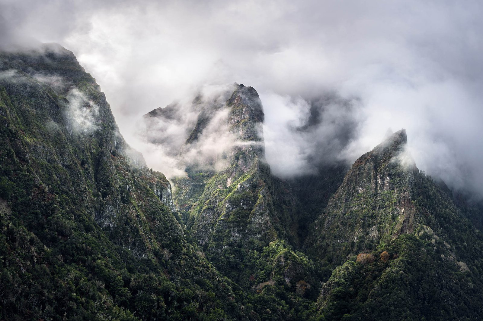 Vereda dos Balcões, Madeira