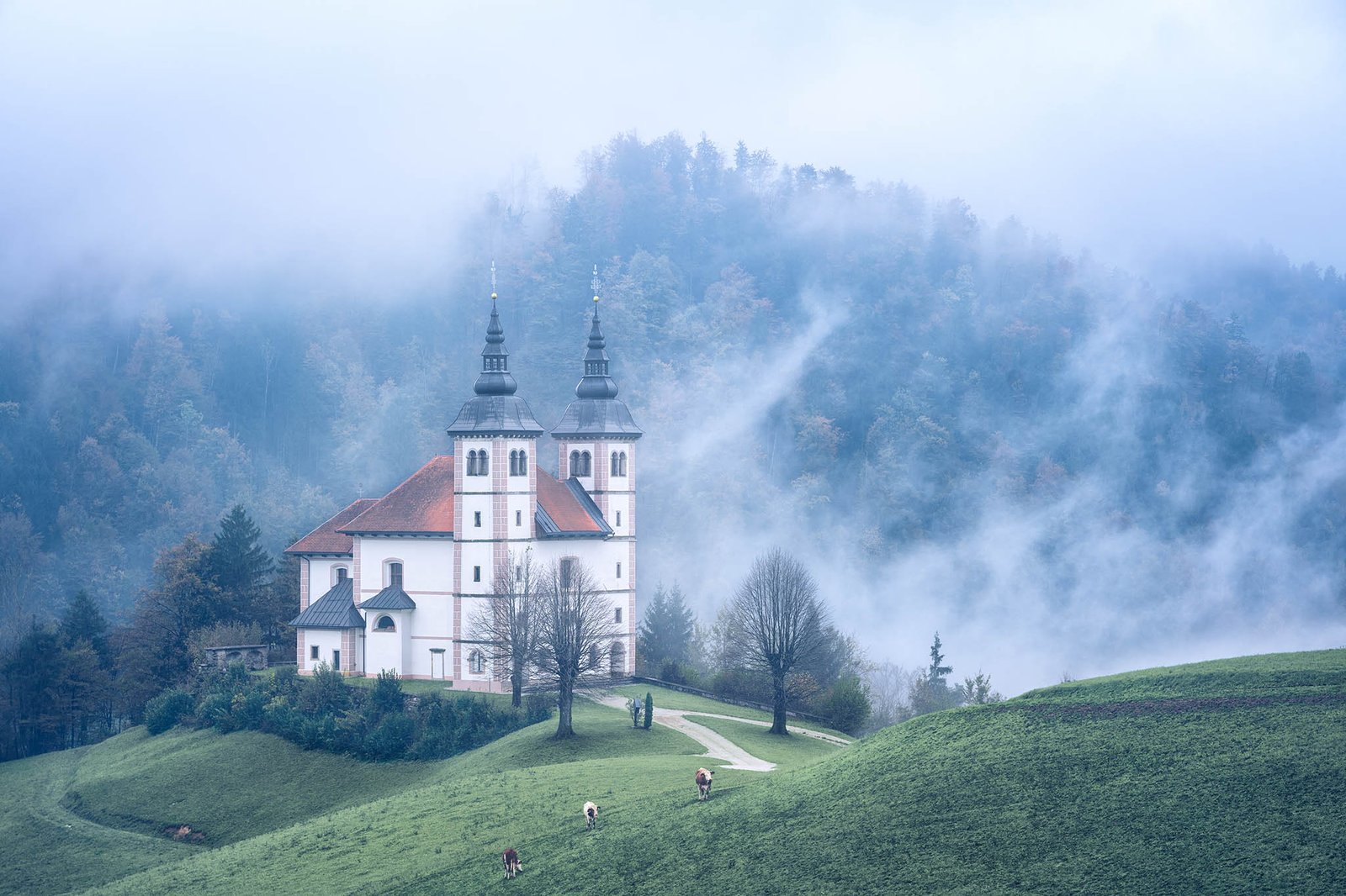 St Volbenk church. One of many beautiful churches in Slovenia to photograph.
