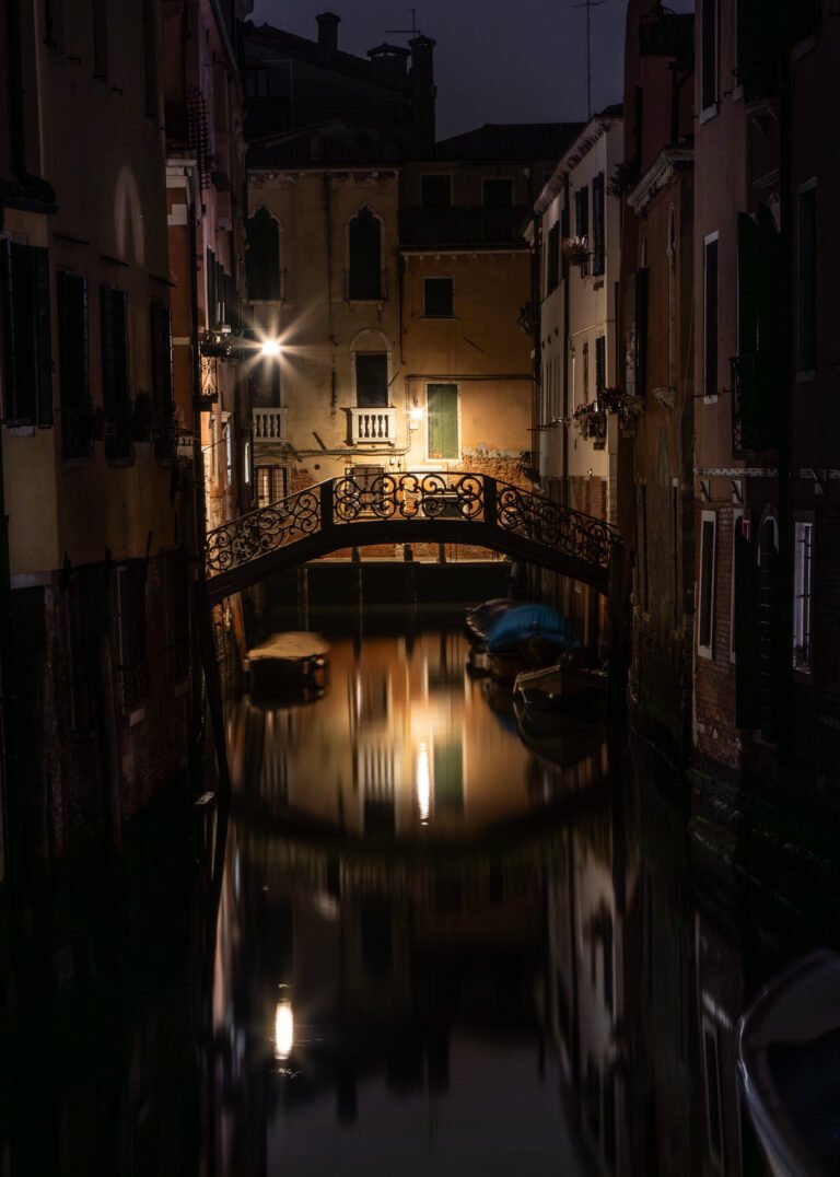 Venice, Julia Martin