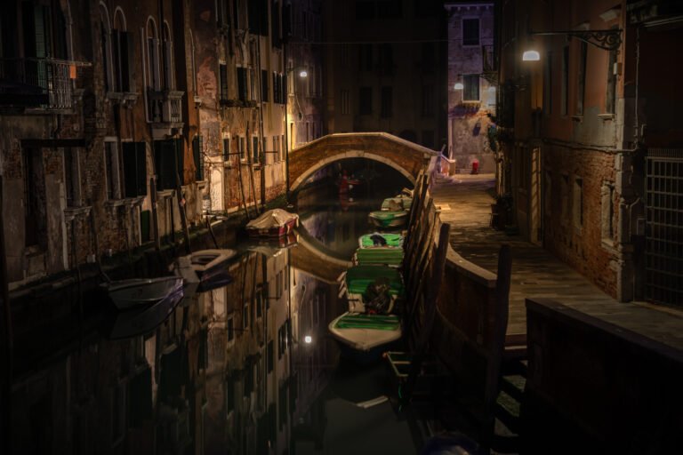Venice, Julia Martin