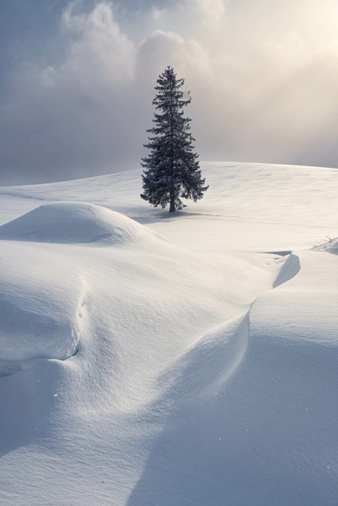 Hokkaido in Winter. Taken on our Hokkaido Photography Tour and Workshop.