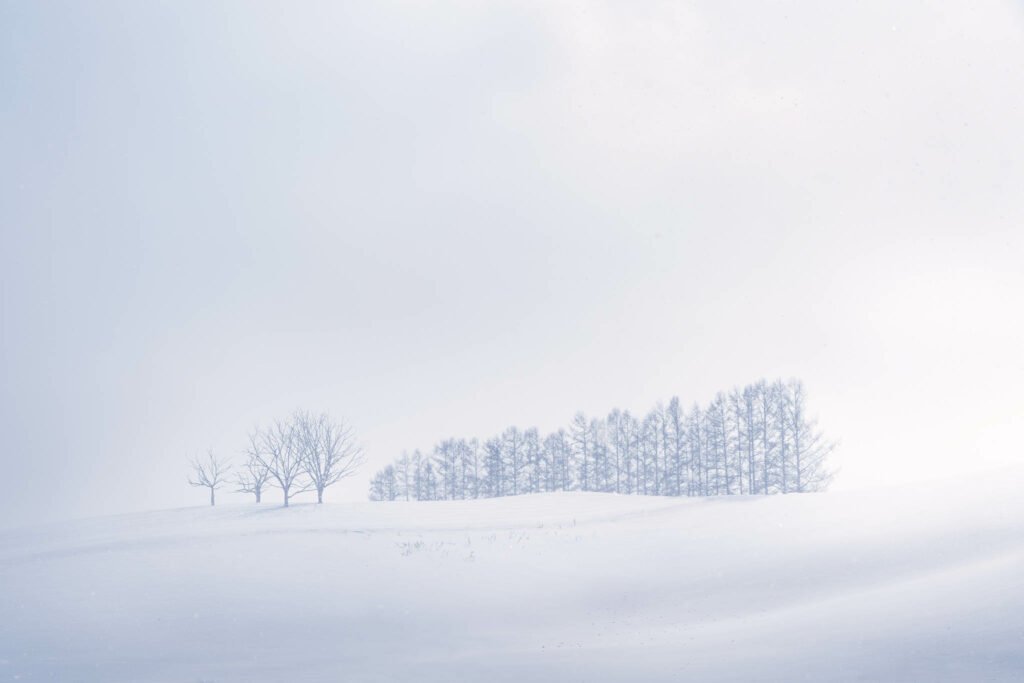 Hokkaido in Winter. Taken on our Hokkaido Photography Tour and Workshop.