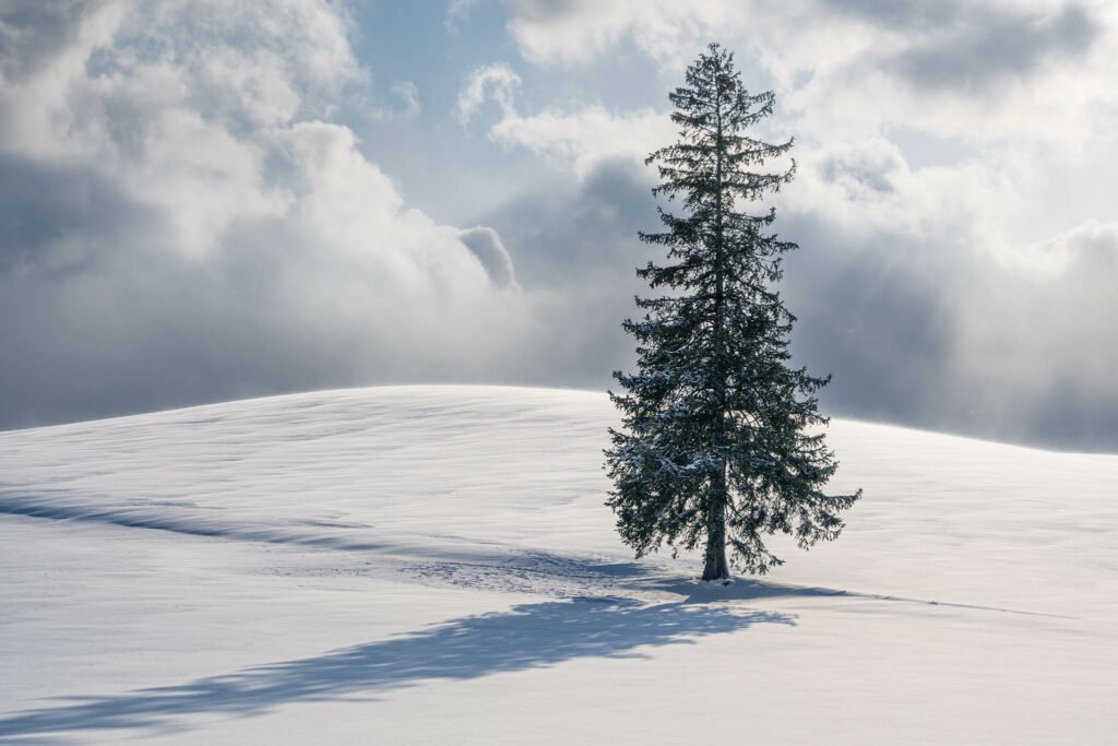 Hokkaido in Winter. Taken on our Hokkaido Photography Tour and Workshop.