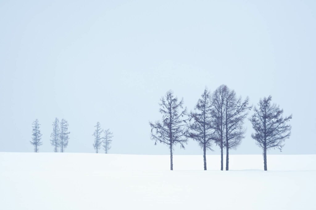 Hokkaido in Winter. Taken on our Hokkaido Photography Tour and Workshop.