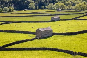 Swaledale, Yorkshire Dales