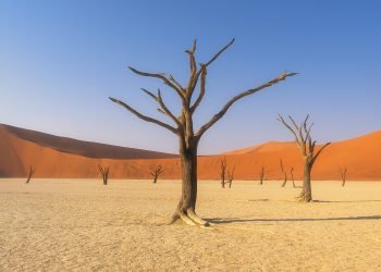 Deadvlei, Namibia