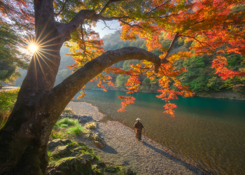 Kyoto, Japan, Francis Ansing Photography